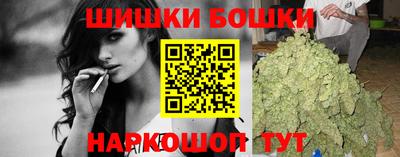 гидра Заводоуковск