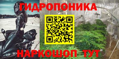 мяу мяу мука Заволжье