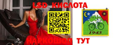 гидра Заводоуковск