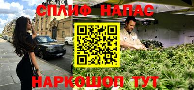 гидра Заводоуковск