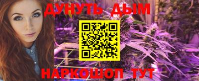 гидра Заводоуковск