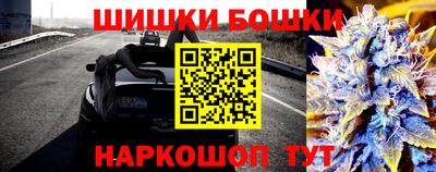 гидра Заводоуковск